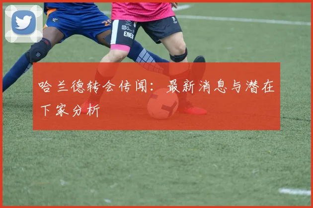 哈兰德转会传闻：最新消息与潜在下家分析