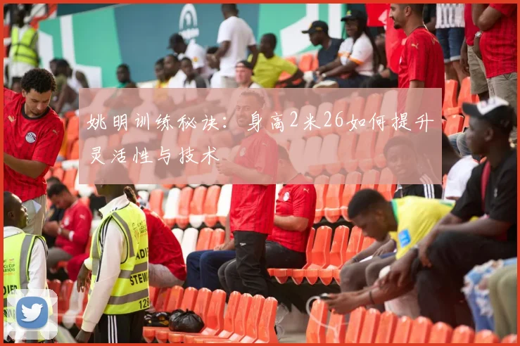 姚明训练秘诀：身高2米26如何提升灵活性与技术